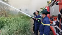 Đã khống chế được đám cháy rừng ở Cà Mau