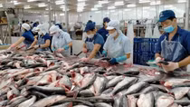 Hàng Việt Nam đối mặt với 249 vụ việc điều tra phòng vệ thương mại