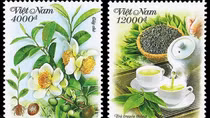 Giới thiệu cây chè và văn hóa trà của người Việt Nam trên tem bưu chính