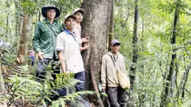 Người Xơ Đăng lập hương ước giữ rừng