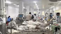 Xác định nguyên nhân vụ nổ bồn chứa bụi làm 9 người bị thương