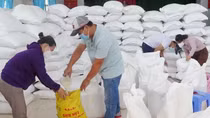 Xuất cấp gạo cho 5 tỉnh dịp Tết Nguyên đán Giáp Thìn và giáp hạt năm 2024