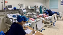 Hà Nội ghi nhận ca mắc viêm não Nhật Bản đầu tiên