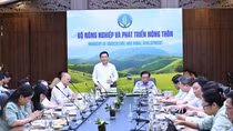 Đề xuất thành lập Hội đồng lúa gạo quốc gia