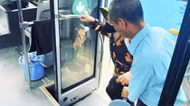 Những việc làm tận tâm chan chứa nghĩa tình của nhân viên phục vụ buýt Traserco