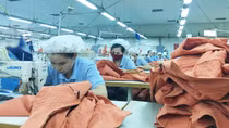Doanh nghiệp cần chủ động nắm bắt thông tin