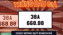 Loạt biển số ô tô siêu đẹp của Hà Tĩnh bị bỏ cọc sau khi trúng đấu giá