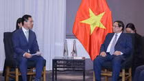 Hợp tác đầu tư để giá thành điện gió phải phù hợp