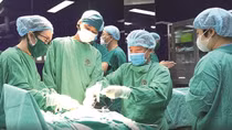 Thúc đẩy thực hiện Đề án 06, ứng dụng chuyển đổi số phục vụ khám, chữa bệnh cho người dân