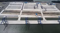 Chuyển Công an điều tra vụ phá rừng phòng hộ để xây dựng cảng biển