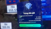 Đấu giá biển số ô tô thu về ngân sách 2.175 tỉ đồng