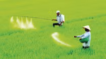 Chuyên gia thuế đề xuất sửa Điều 15 trong dự án sửa đổi Luật Thuế GTGT