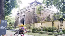 Nhịp phố bốn mùa hoa