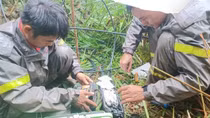 Chạy đua với thời gian để cứu người, cứu “sóng”
