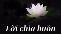 Lời chia buồn
