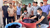 Bắt giữ 2 đối tượng mang súng quân dụng vận chuyển 26 kg ma tuý