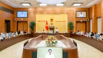 Nhất trí giảm 1 huyện, 52 xã, 1 phường tại Nam Định, Tuyên Quang, Sóc Trăng từ 1/9/2024
