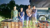 Hai đối tượng vận chuyển thuốc nổ và pháo trên xe bán tải