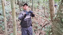 Tháo bẫy động vật hoang dã giữa rừng đại ngàn Trường Sơn