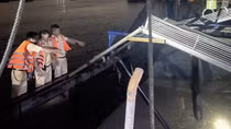 Khởi tố ổ nhóm khai thác cát trái phép trên sông Hồng