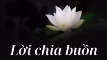 Lời chia buồn