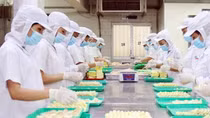 Đầu tư công nghệ sản xuất bao bì xanh để chặn sản phẩm nhiễm hóa chất độc hại