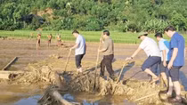 Thủ tướng yêu cầu triển khai các biện pháp nhanh chóng phục hồi sản xuất nông nghiệp