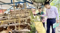Mở hướng thoát nghèo ở Quảng Ngãi