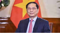 Ngoại giao Việt Nam phát huy truyền thống vẻ vang, góp phần thực hiện thắng lợi các mục tiêu chiến lược của đất nước