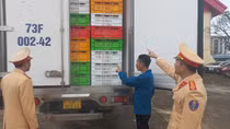 Phát hiện 4 tấn thịt gà đông lạnh không rõ nguồn gốc