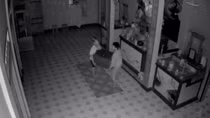 Nhóm trộm nhí đột nhập vào chùa lấy trộm tiền công đức