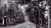 Mộng hồ sương thơm hương phố