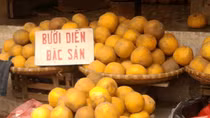 Bưởi Diễn vào vụ Tết, thị trường khó phân biệt thật, giả