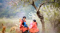 Cùng đón “Sắc xuân trên mọi miền Tổ quốc”