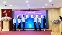 10 tỉnh, thành có kim ngạnh xuất khẩu dẫn đầu cả nước