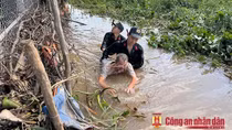 Hành trình triệt phá sới bạc có nhiều lớp bảo vệ ở An Giang