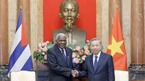 Lãnh đạo Đảng, Nhà nước tiếp Lãnh đạo cấp cao các nước