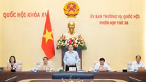 Uỷ ban Thường vụ Quốc hội họp phiên thứ 38, xem xét nhiều nội dung cấp bách