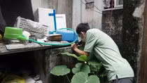 Gần 42 nghìn người mắc sốt xuất huyết, 5 ca tử vong, dịch đang gia tăng