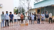 Triệt xoá 2 vụ đá gà qua mạng, tạm giữ trên 135 triệu đồng