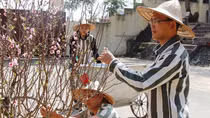 Đường về nẻo thiện không còn xa