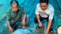 Khởi tố các đối tượng mua bán 2 cá thể tê tê