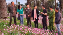 Phát triển du lịch “sạch”, bền vững trên nền tảng an ninh, an toàn (bài cuối)