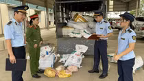 1.600 kg bì lợn thu mua trôi nổi trên đường đi tiêu thụ
