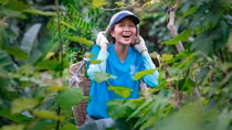 Hoa hậu H'Hen Niê: Nhan sắc không vướng thị phi