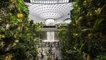 Ngắm sân bay Changi Singapore có thiết kế thân thiện với môi trường