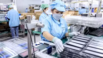Số doanh nghiệp rời bỏ thị trường thấp hơn lượng thành lập mới
