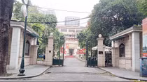 Xôn xao con đường xôn xao lá