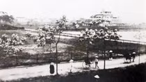 Hà Nội thời cận đại qua góc nhìn của tài liệu lưu trữ