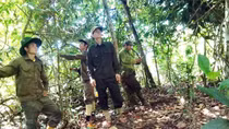 Quảng Nam: Tín hiệu khởi sắc trong việc thực hiện chi trả dịch vụ môi trường rừng tại các cộng đồng dân cư